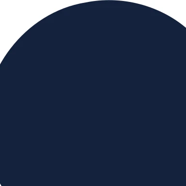 The same detail of the SVG, geometric bird logo, zoomed 8 times: edges stay sharp